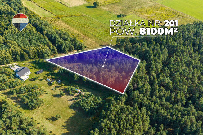 Działka leśna pow. 29.600 m², Bukowina Sycowska