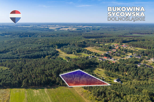 Działka leśna pow. 29.600 m², Bukowina Sycowska