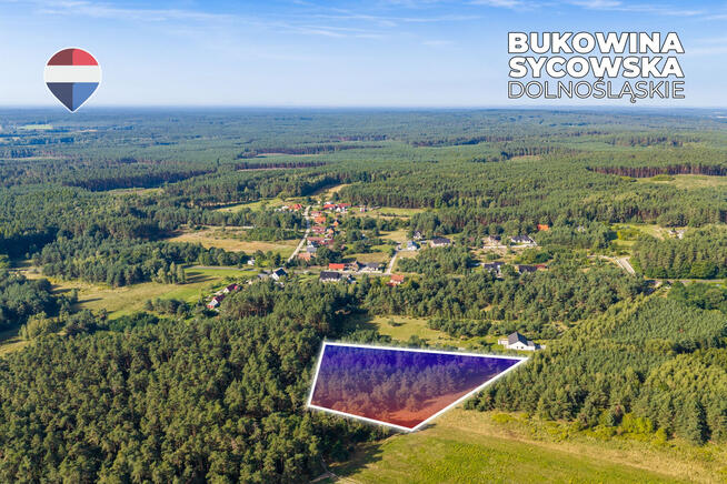 Działka leśna pow. 29.600 m², Bukowina Sycowska