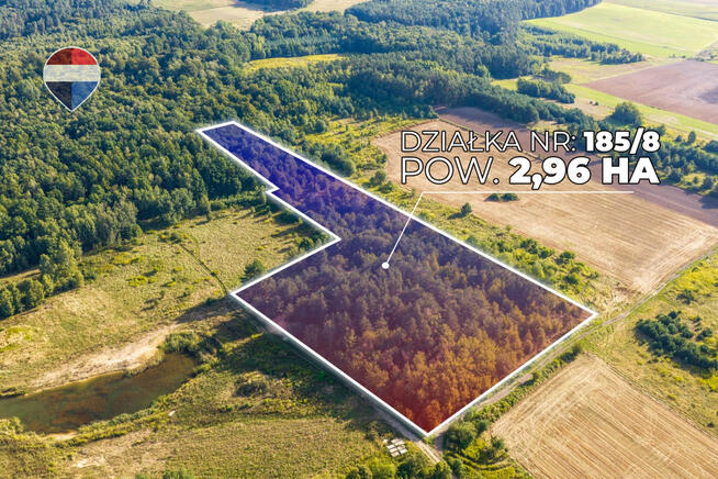 Działka leśna pow. 29.600 m², Bukowina Sycowska