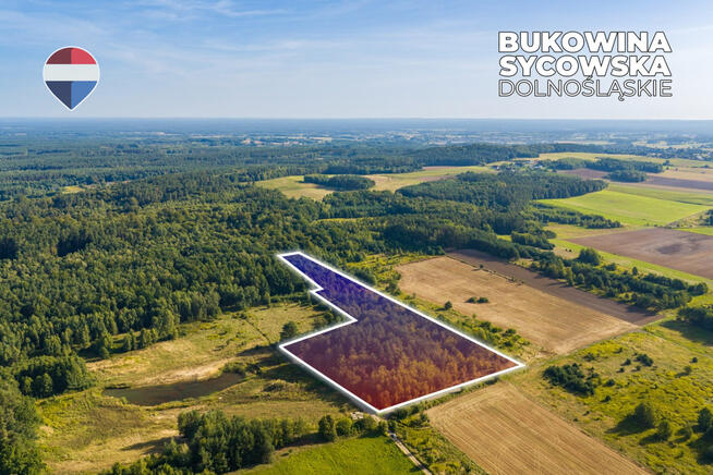 Działka leśna pow. 29.600 m², Bukowina Sycowska