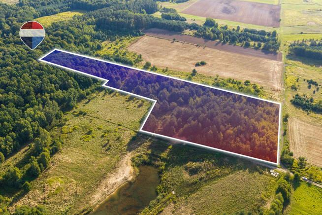 Działka leśna pow. 29.600 m², Bukowina Sycowska