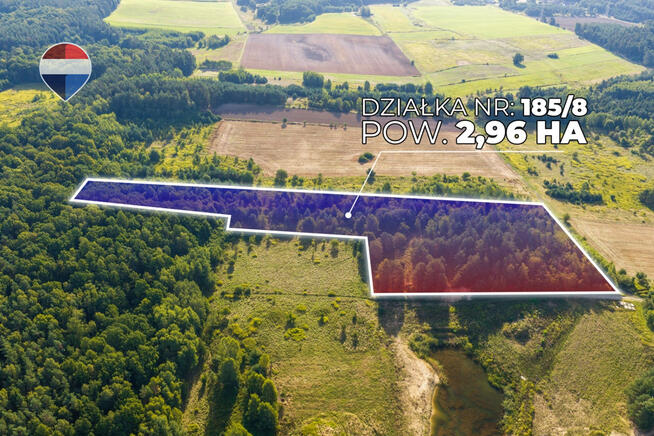 Działka leśna pow. 29.600 m², Bukowina Sycowska
