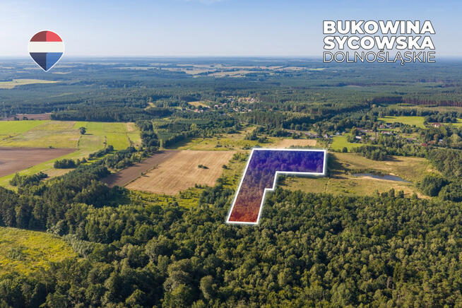 Działka leśna pow. 29.600 m², Bukowina Sycowska