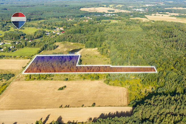 Działka leśna pow. 29.600 m², Bukowina Sycowska