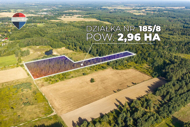 Działka leśna pow. 29.600 m², Bukowina Sycowska