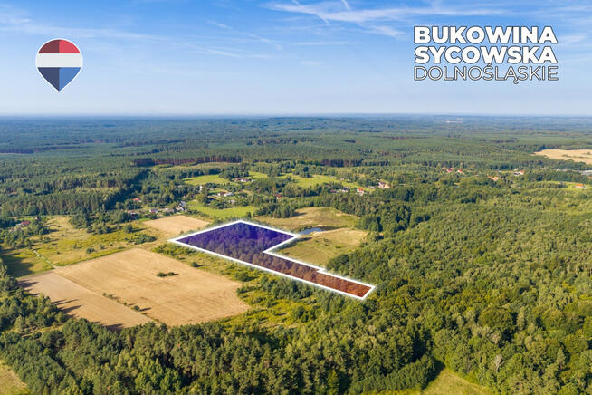 Działka leśna pow. 29.600 m², Bukowina Sycowska