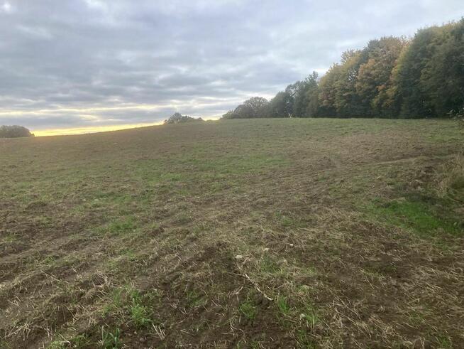 Na sprzedaż działka Roztoka - Nowa Wieś Przywidzka