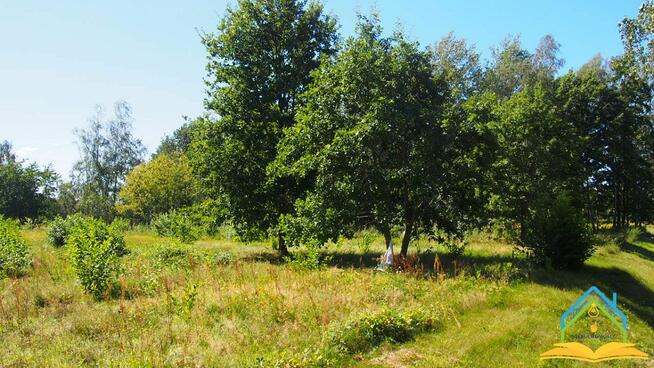 Działka usługowa Piotrkowice gm. Żabia Wola