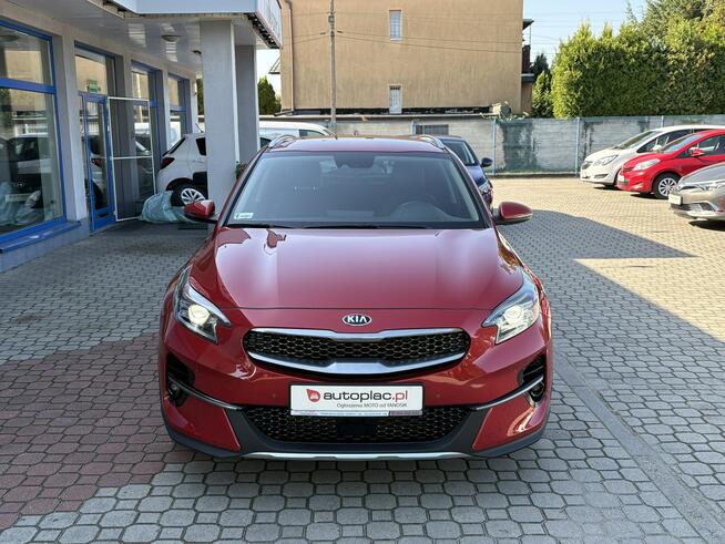 Kia XCeed 1.5 160 KM Automat, Pół Skóry, Kamera, Full LED, Salon Polska