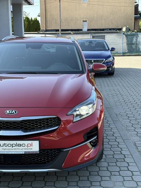 Kia XCeed 1.5 160 KM Automat, Pół Skóry, Kamera, Full LED, Salon Polska