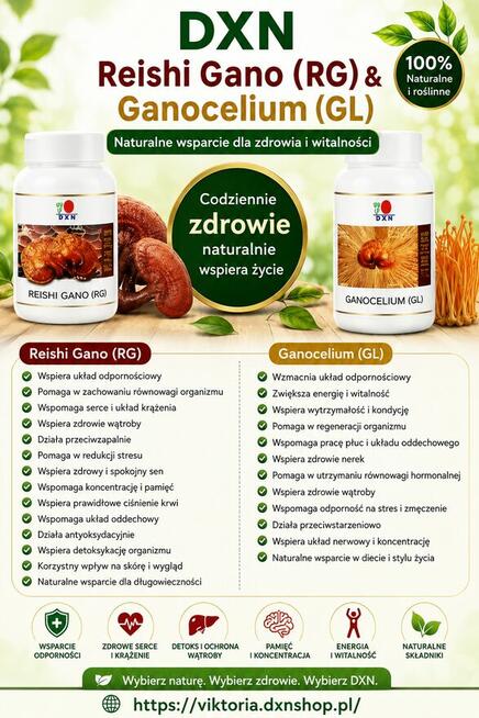 ONE WORLD – ONE MARKET. Poznaj świat DXN!