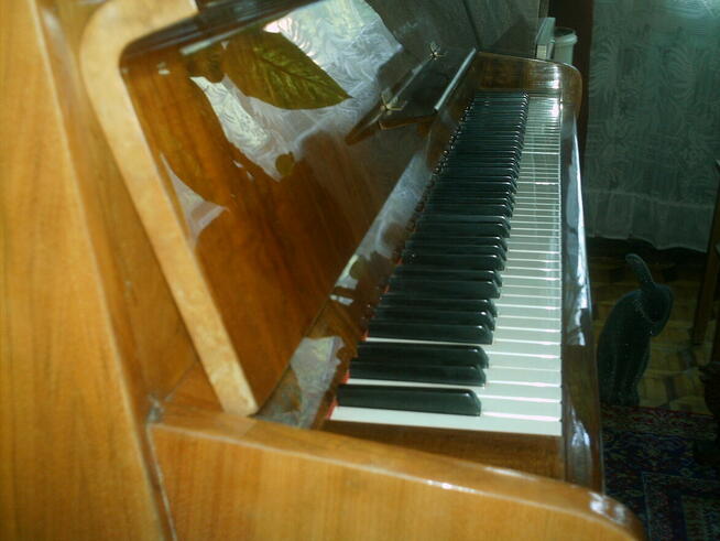Pianino Calisia M-105