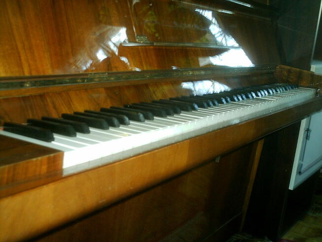 Pianino Calisia M-105