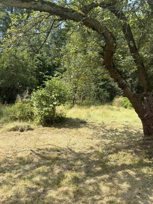 Uzbrojona działka budowlana 2300 m² | Frywałd | bez prowizji