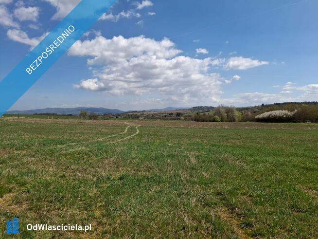 1,03 ha w Starym Wielisławiu