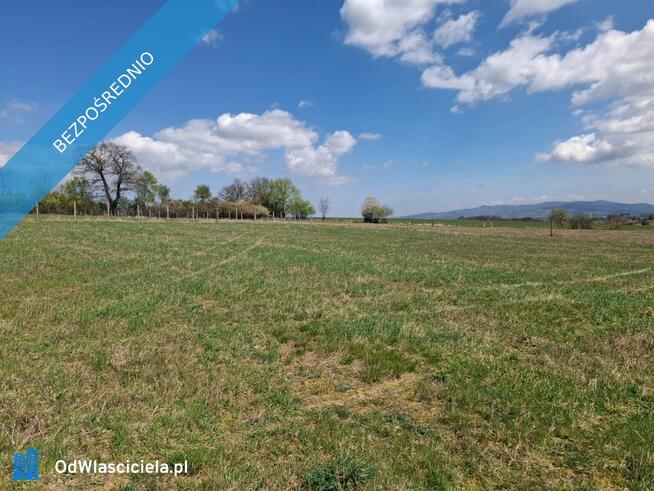 1,03 ha w Starym Wielisławiu