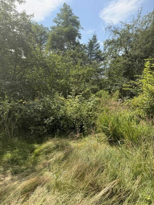 Uzbrojona działka budowlana 2300 m² | Frywałd | bez prowizji