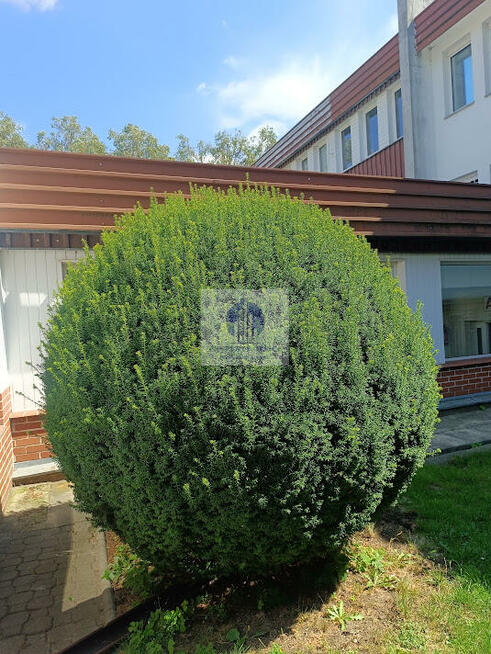Lokal użytkowy Warszawa Mokotów, Siekierki, Siekierkowska