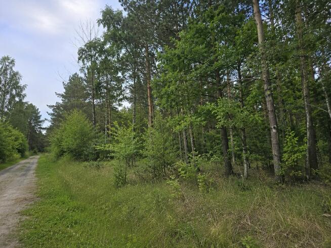 Działka budowlana Przyłęk gm. Nowy Tomyśl,