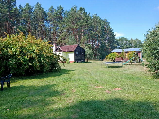 Domek 37m2 do wynajęcia w lesie