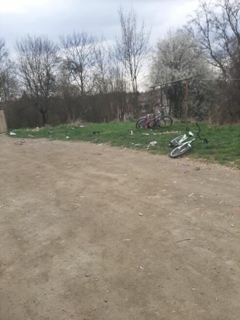 Poznam Kolege do wszystkiego