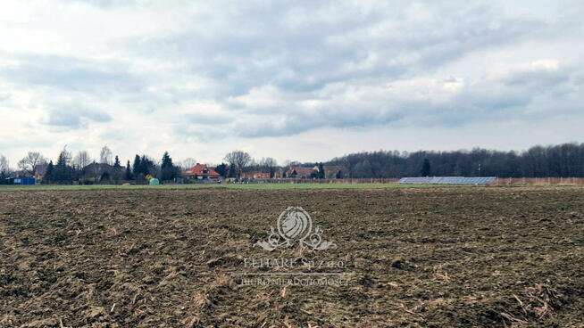 Działka budowlana/siedliskowa 3000m2 z MPZP Sokolniki gm. Kąty Wrocławskie