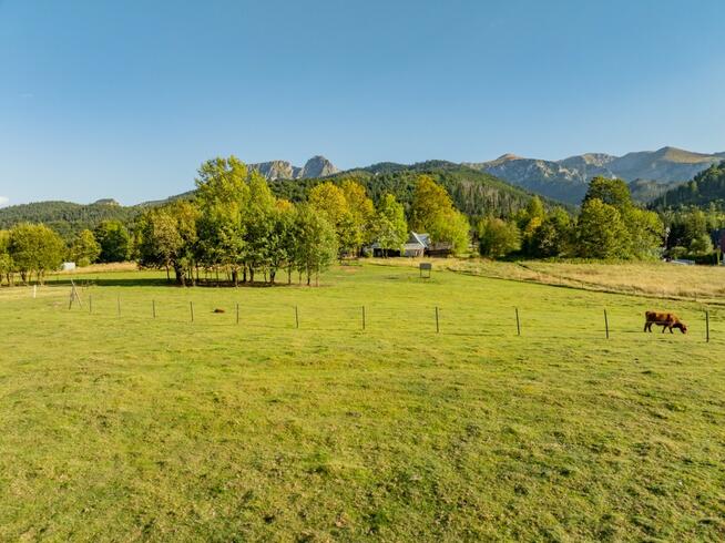 Działka rolna 3115 m² | Kościelisko