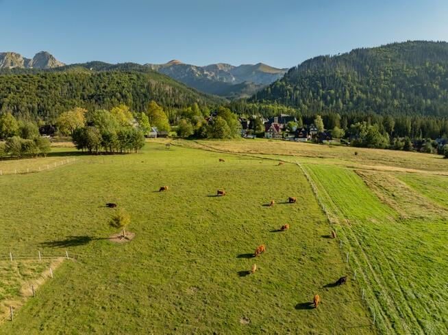 Działka rolna 3115 m² | Kościelisko