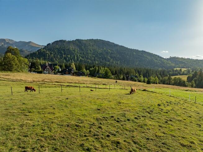 Działka rolna 3115 m² | Kościelisko