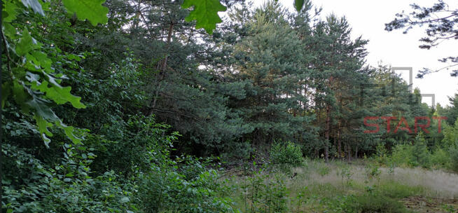 Działka budowlana Prace Duże gm. Tarczyn,