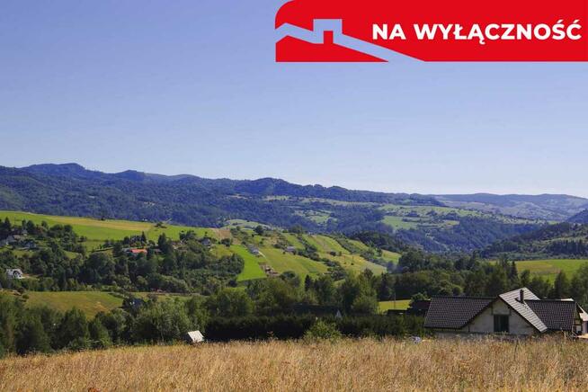 Działka z WZ | 5291 m2 | widok na Pieniny