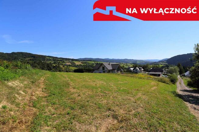 Działka z WZ | 5291 m2 | widok na Pieniny