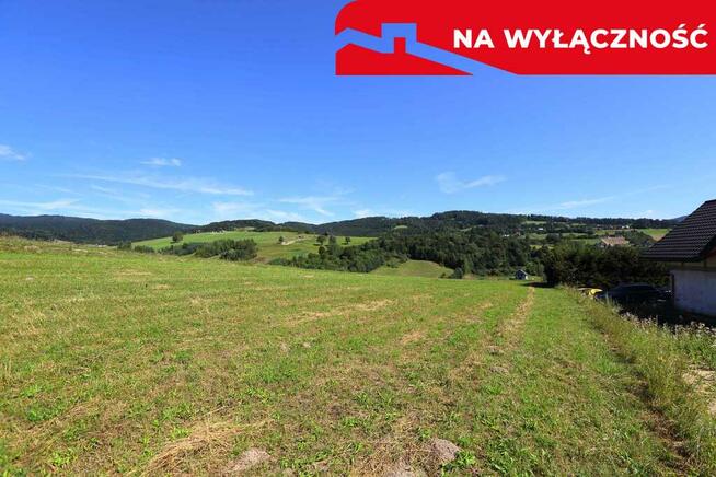 Działka z WZ | 5291 m2 | widok na Pieniny
