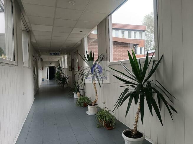 Lokal użytkowy Warszawa Mokotów, Siekierki, Siekierkowska