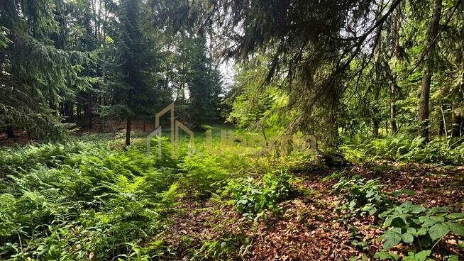 Działka 3206 m² przy jeziorze z WZ