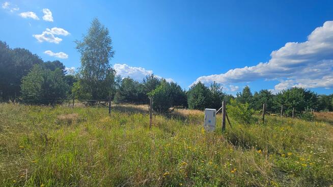 Działka w lesie 3006 m² | pozwolenie na budowę