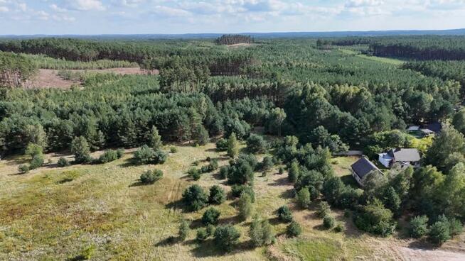 Działka w lesie 3006 m² | pozwolenie na budowę