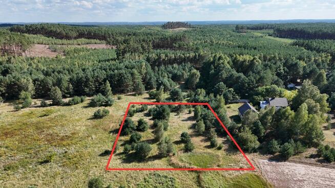 Działka w lesie 3006 m² | pozwolenie na budowę