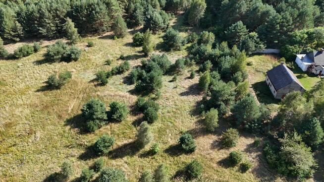 Działka w lesie 3006 m² | pozwolenie na budowę