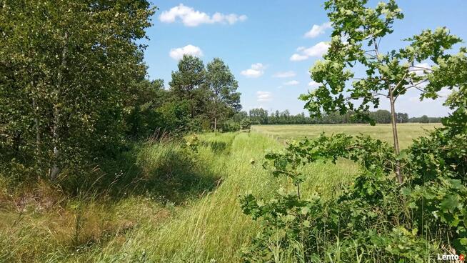 Działka budowlana 6 866 m² we wsi Jesionowiec, gm Wielbark