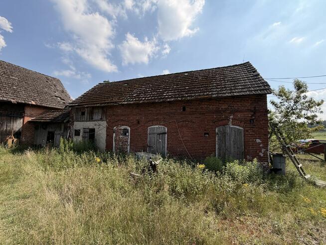 Siedlisko 5,17 ha | Pawłów
