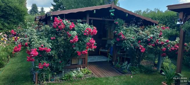 Wyjątkowa, narożnikowa działka na ROD „Camping”