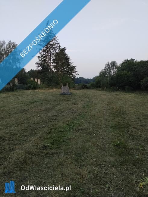 Siedlisko z lasem 4,03 ha przy jeziorach! 2 działki: Bereza k. Międzyrzeca Podlaskiego