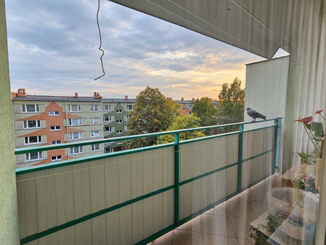 Mieszkanie Częstochowa Wrzosowiak