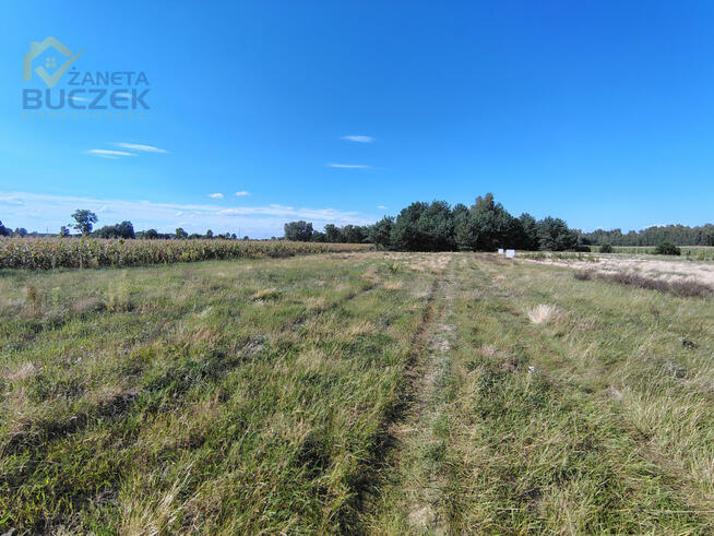 Działka inwestycyjna Dachowa gm. Sochaczew,