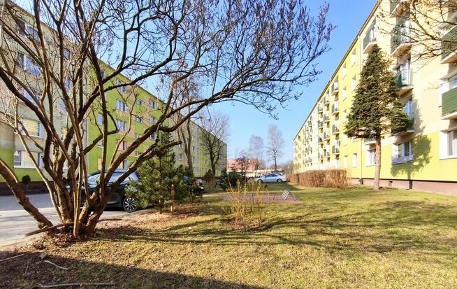 Dwupokojowe po remoncie 2 piętro w dzielnicy Tysiąclecie