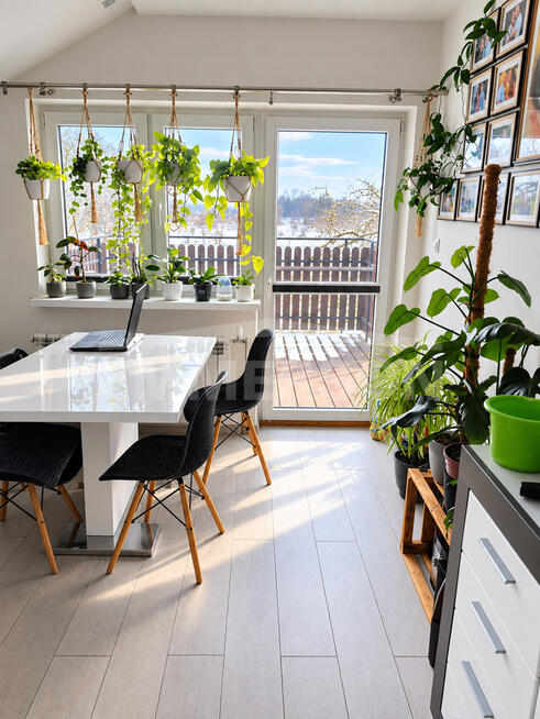 Obiekt komercyjny 180 m², działka 4800 m², dobry