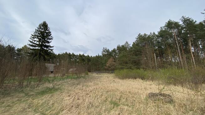 Pruszewiec, koło Tuczna - bajeczna działka w lesie