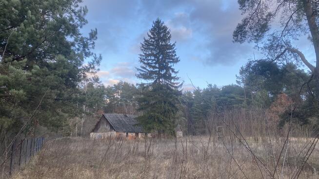Pruszewiec, koło Tuczna - bajeczna działka w lesie